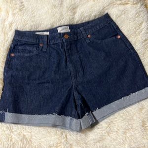 Jean shorts- Vintage Universal Thread